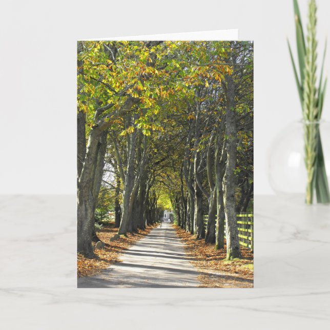 Country lane in Jersey Holiday Card (Front)