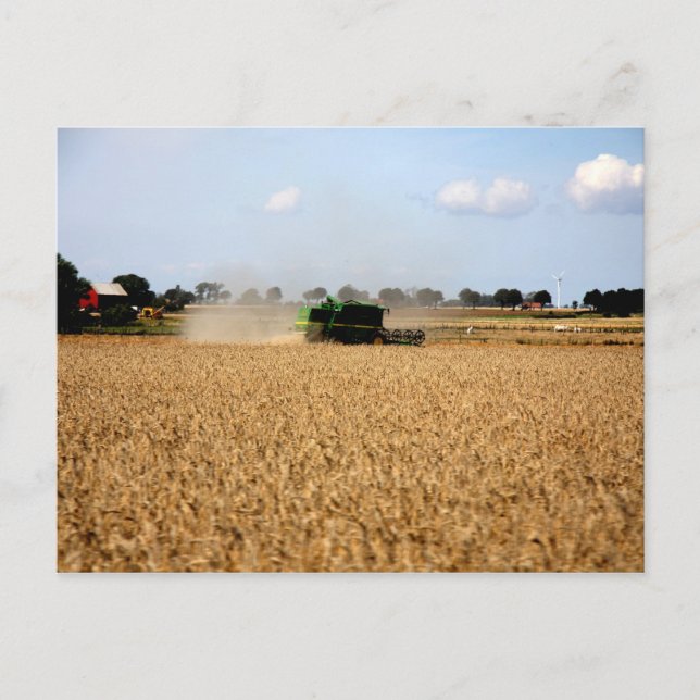 Country life postcard (Front)