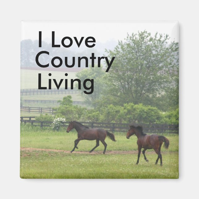 Country Living Horses playing Magnet (Front)