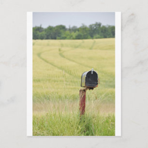 Country Mailbox Postcard