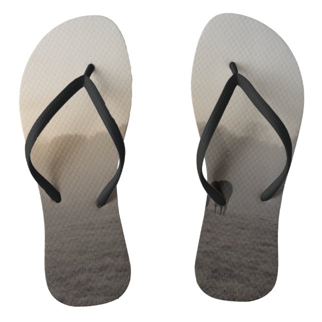 Country Morning Flip Flops (Footbed)