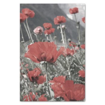 country nature landscape red poppy flower tissue paper