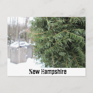 Country NH Winter Postcard