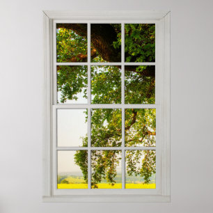 Country Oak Tree Window with a View Illusion Poster