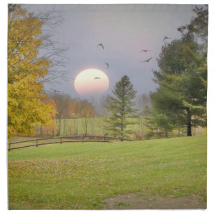 Country Pasture Sunset Cloth Napkin