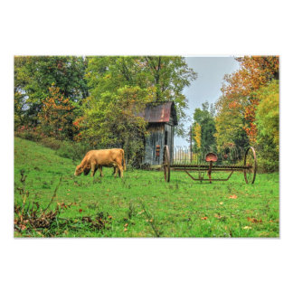 Country Peacefulness Photo Print