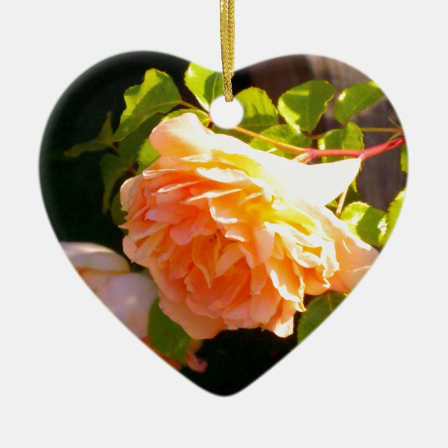 Country Peach Roses Ceramic Ornament (Front)