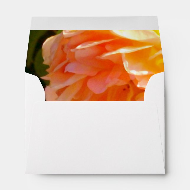 Country Peach Roses Envelope (Back (Bottom))