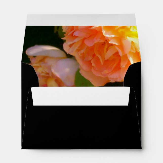 Country Peach Roses Envelope (Back (Bottom))