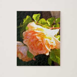 Country Peach Roses Jigsaw Puzzle