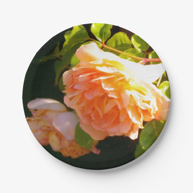Country Peach Roses Paper Plates (Front)
