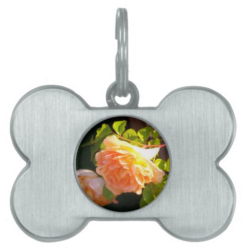 Country Peach Roses Pet Name Tag