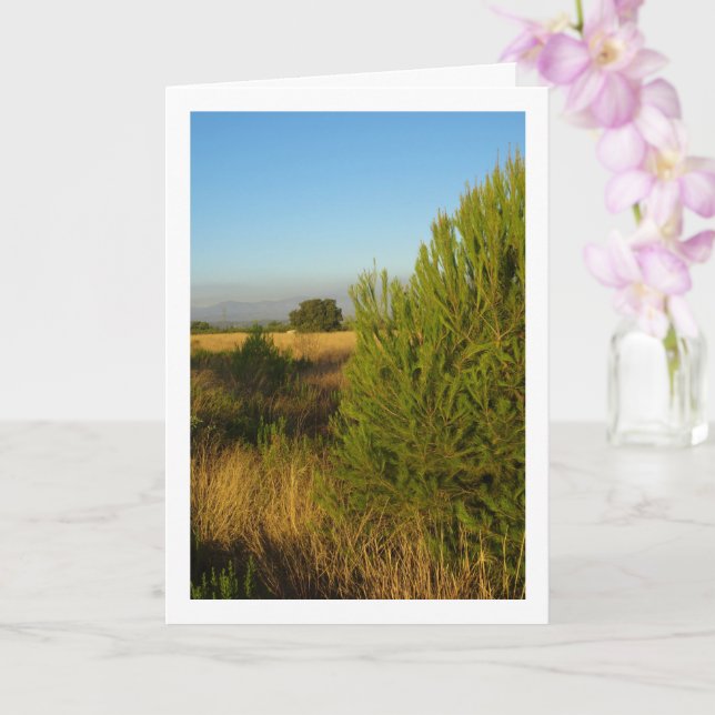 Country Pine Trees Card (Orchid)