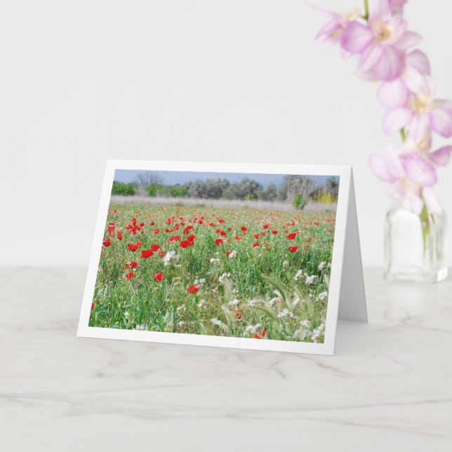 Country Poppy Field Card (Orchid)