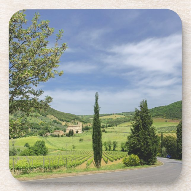 Country road curving between cypress trees in beverage coaster (Front)