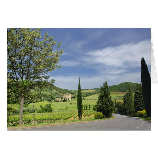 Country road curving between cypress trees in cards (Front Horizontal)