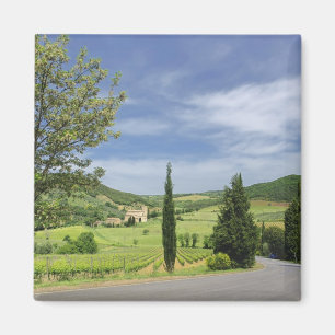 Country road curving between cypress trees in magnet