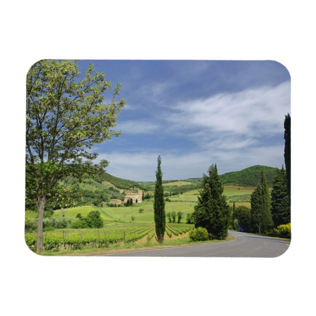 Country road curving between cypress trees in magnet (Horizontal)