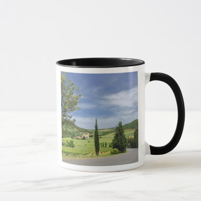 Country road curving between cypress trees in mug (Right)