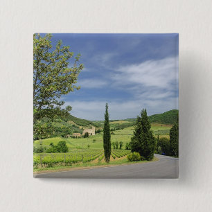 Country road curving between cypress trees in pinback button