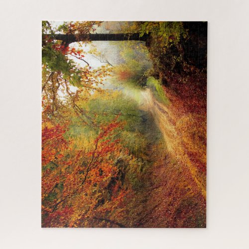 Country Road Forest 520 Piece Jigsaw Puzzle