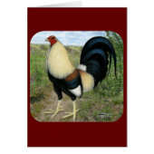 Country Road Gamecock (Front)