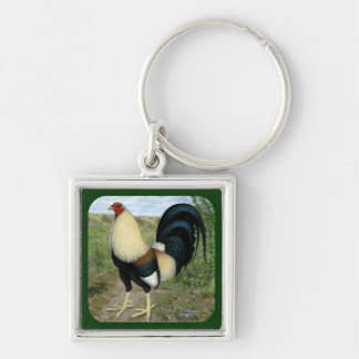 Country Road Gamecock Keychain