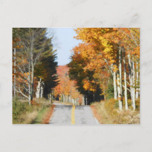 Country Road High Peaks Lake Placid Autumn Leaves Postcard