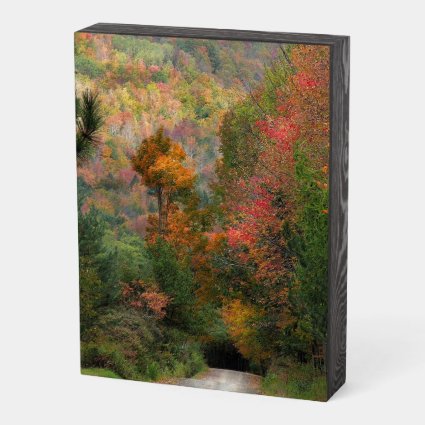 Country Road in Autumn Wooden Box Sign