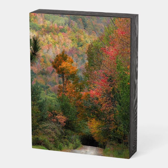 Country Road in Autumn Wooden Box Sign