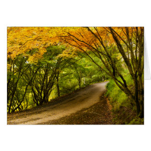 Country Road in the Fall Cards