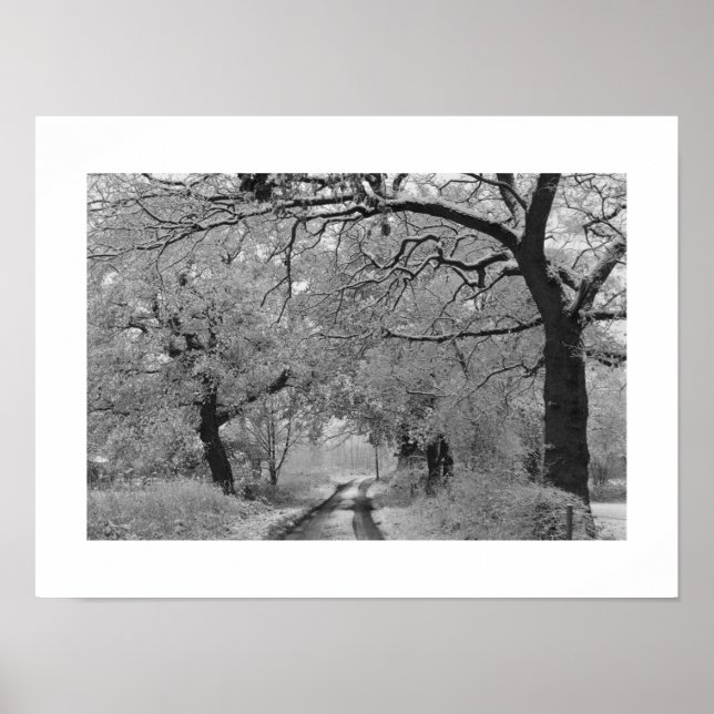 Country Road in Winter: Cheshire, England  Poster (Front)