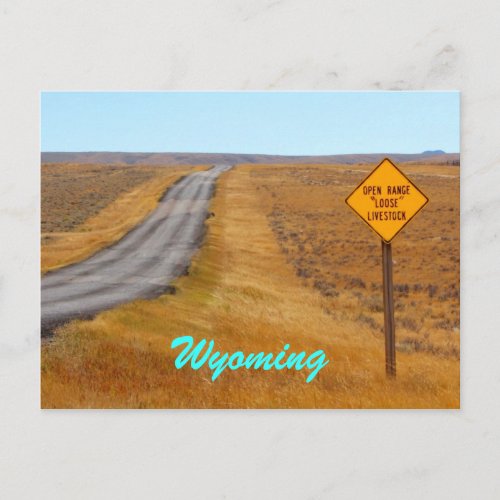 Country Road Open Range Wyoming Postcard