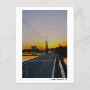 country road sunset Spring Postcard