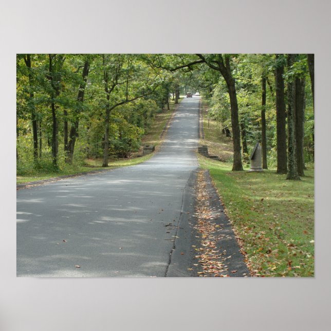 Country road through the trees Wall art. Poster (Front)