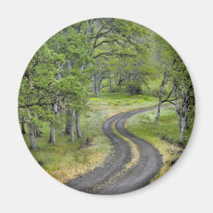 Country road through trees, Oregon Magnet