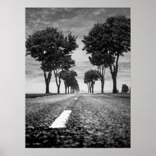 Country Road with Tree Lined Perspective Poster