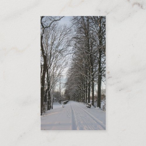 Country Road with Trees and Snow Photo Card Business Cards