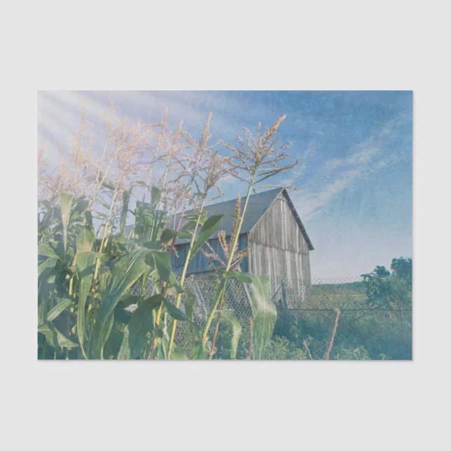 Country Rustic Barn Blue Sky Sun Rays Tissue Paper | Zazzle