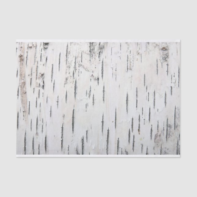 Country Rustic Birch Tree Bark Tissue Paper (Front)