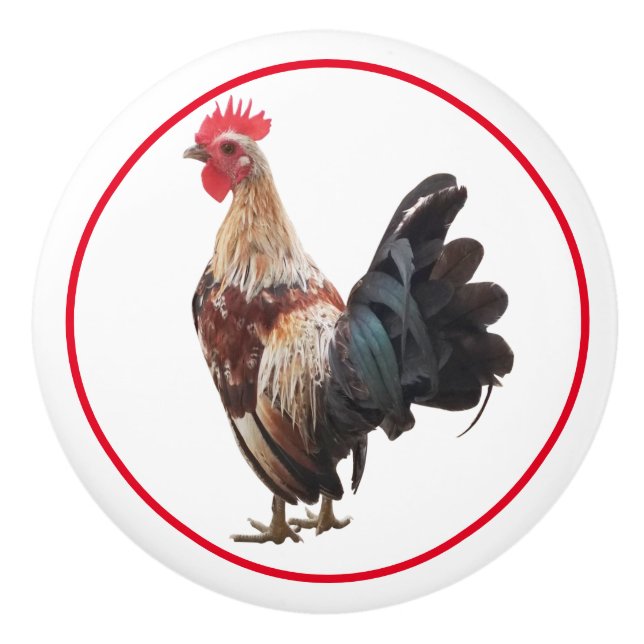 Country Rustic Farmhouse Chicken   Ceramic Knob (Front)