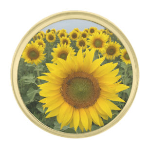 Country Rustic Sunflower Field Harvest Photo Gold Finish Lapel Pin