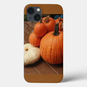 country scene closeup pumpkins orange and white Ha iPhone 13 Case