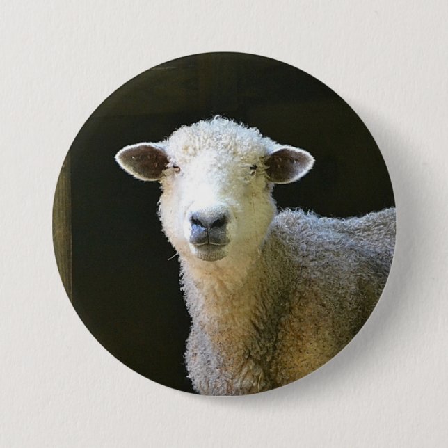 Country Sheep Button (Front)