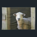 Country Sheep Kitchen Towel<br><div class="desc">This dish towel features a sweet gentle sheep standing in the doorway of his home in Connecticut.</div>