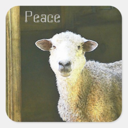 Country Sheep Peace Square Sticker
