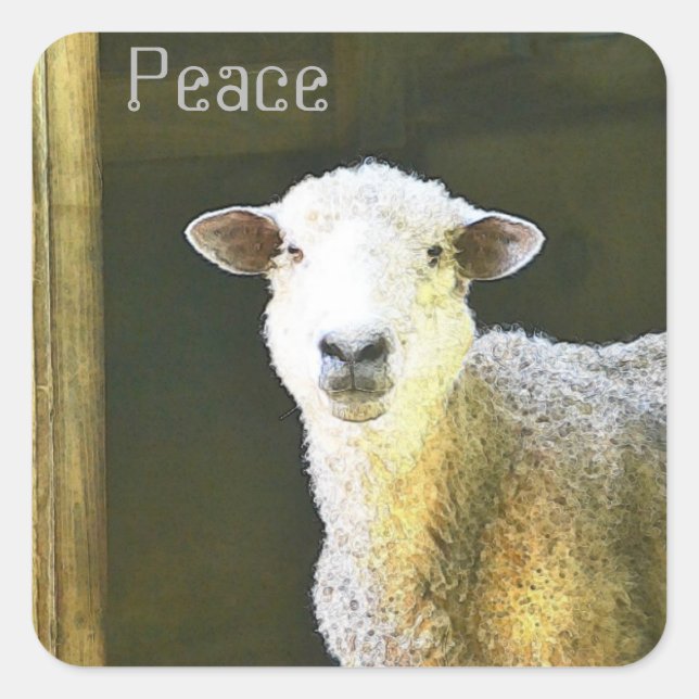 Country Sheep Peace Square Sticker (Front)