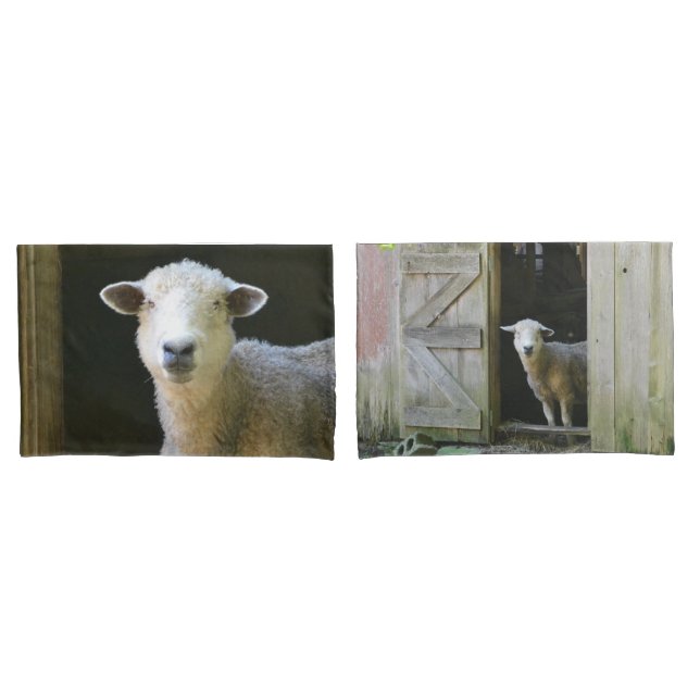 Country Sheep Pillow Case (Front-Set)