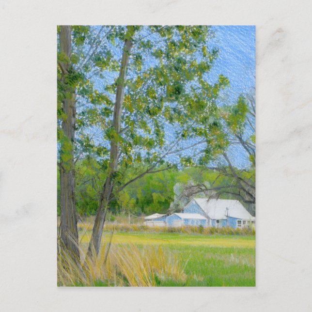 Country Spring Colored Pencil Drawing Postcard (Front)