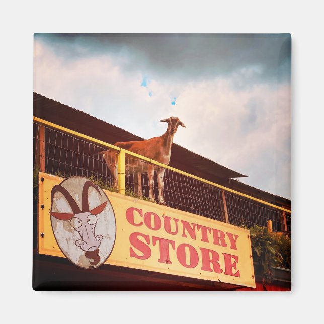 country store goat on the roof magnet (Front)